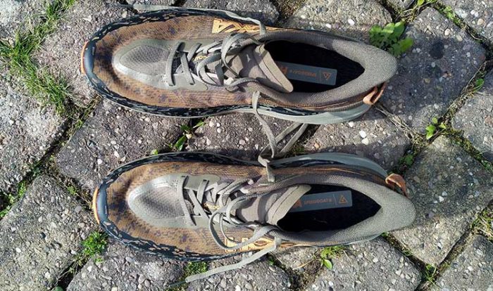 Hoka Speedgoat 6 Review - NorthernRunner.com Blog